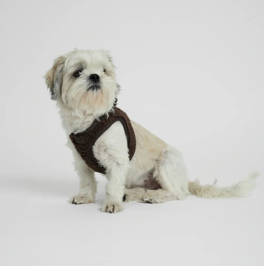 Teddy Step-In Dog beisli | Espresso