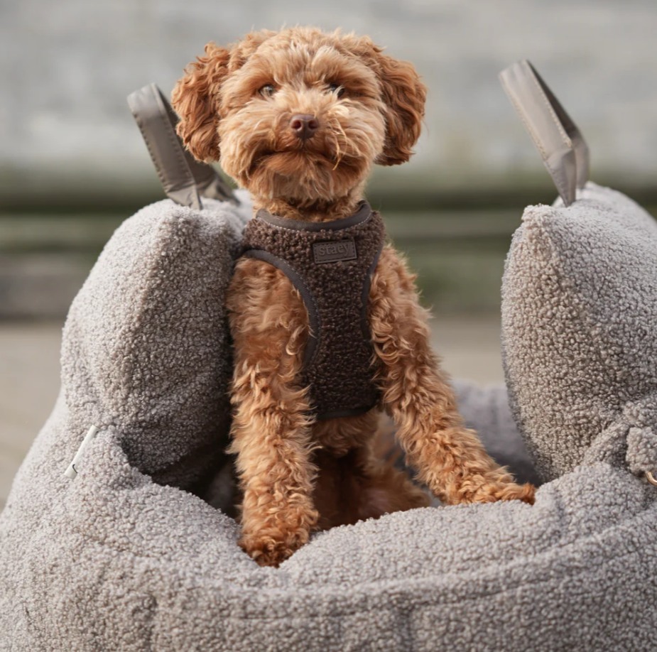 Teddy Step-In Dog beisli | Espresso