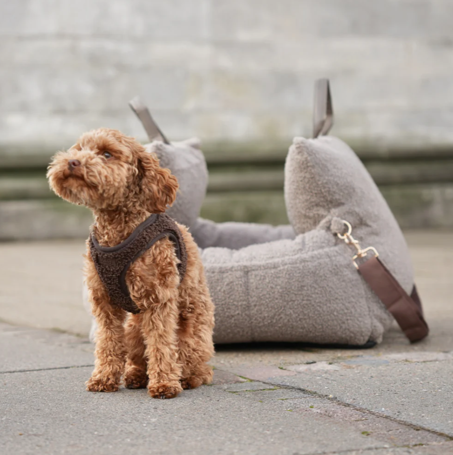 Teddy Step-In Dog beisli | Espresso