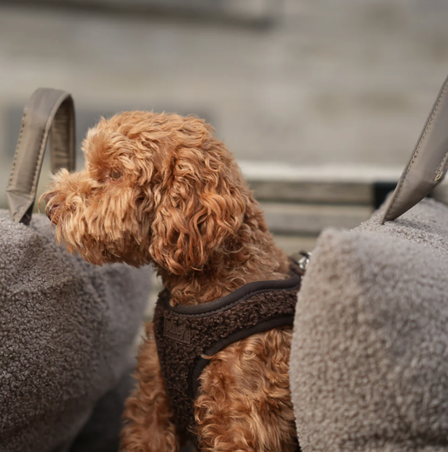 Teddy Step-In Dog beisli | Espresso