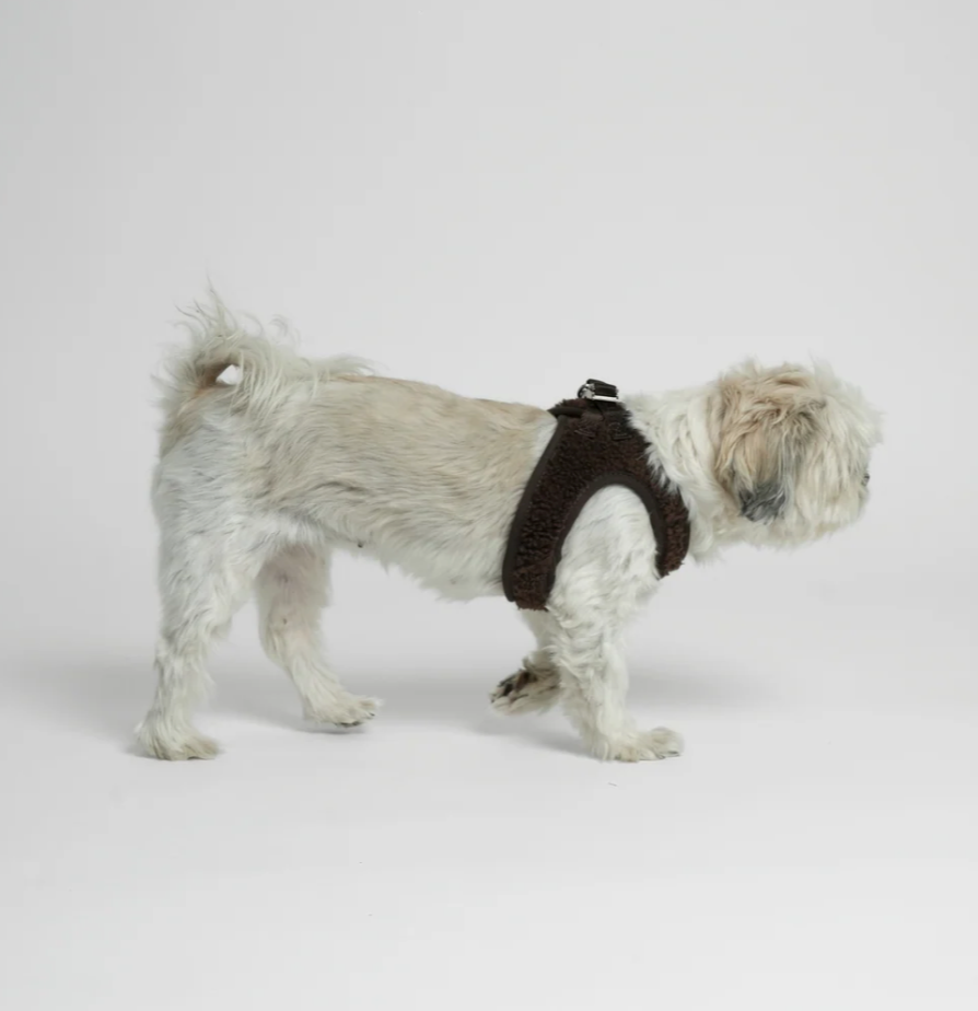 Teddy Step-In Dog beisli | Espresso
