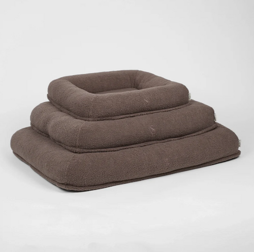 CLARA ORTHOPEDIC HEILSURÚM | Limited Edition