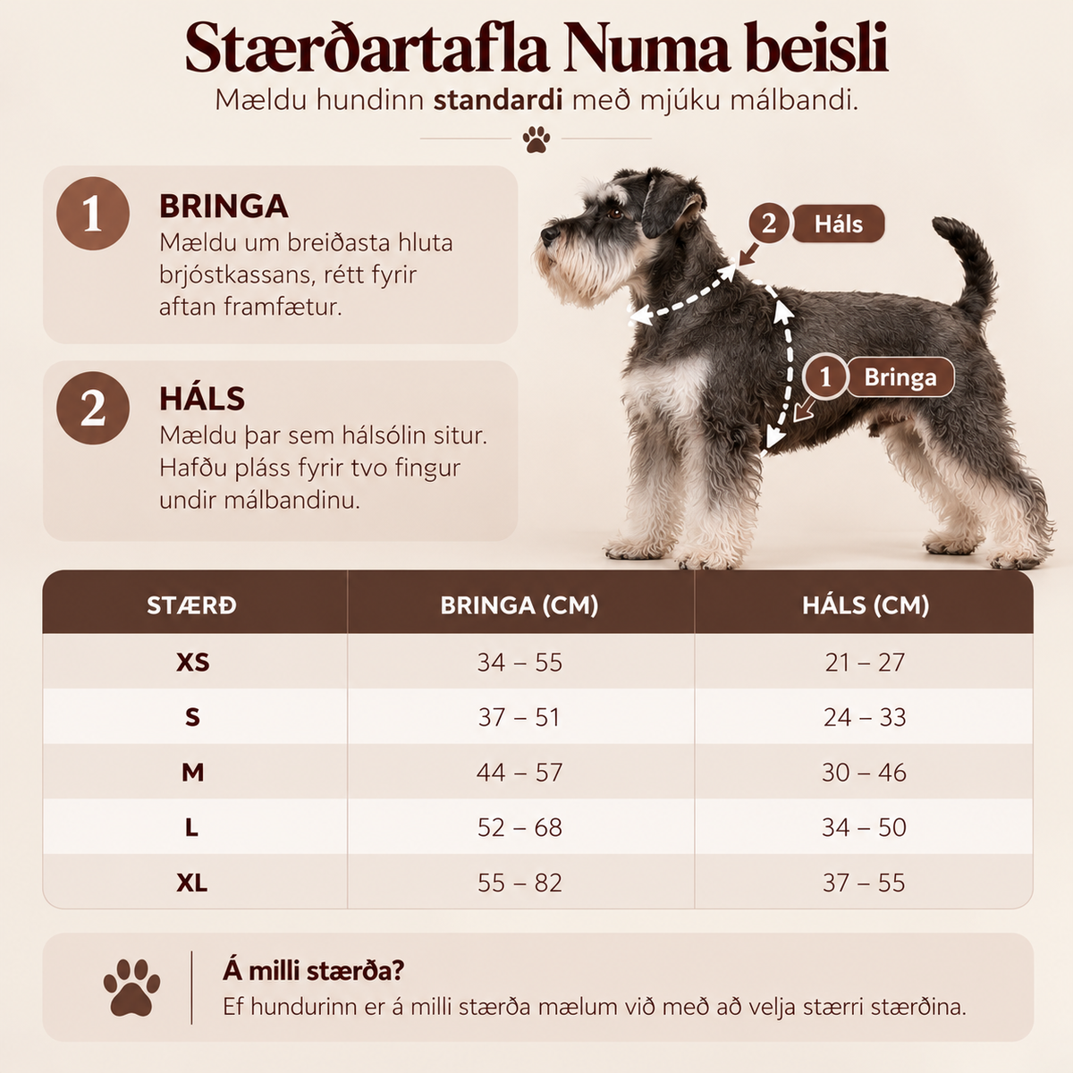 NUMA BEISLI | Moss Green