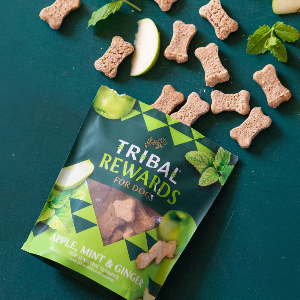 Tribal Rewards for Dogs  - Rewards for Dogs  Apple, Mint & Ginger