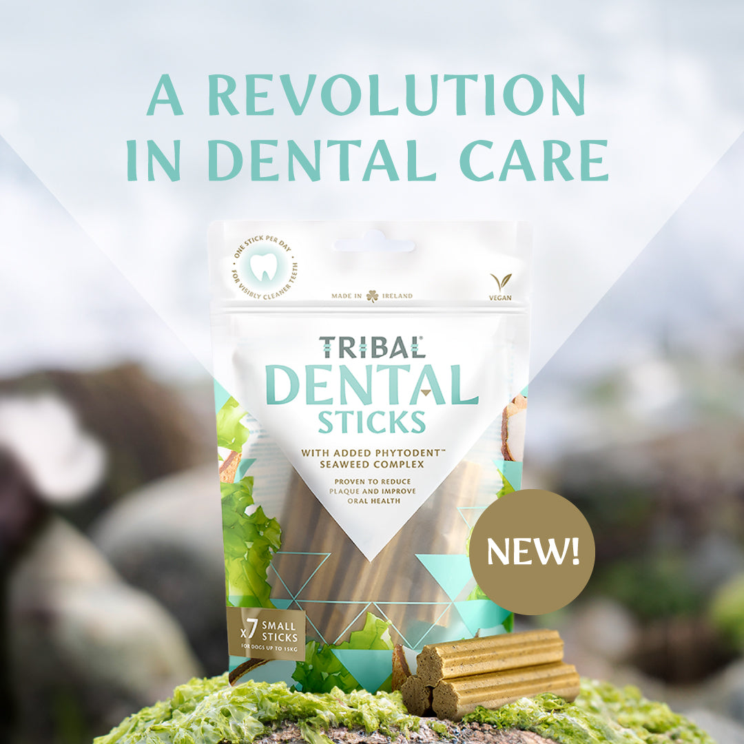 Dental Sticks For Small Dogs