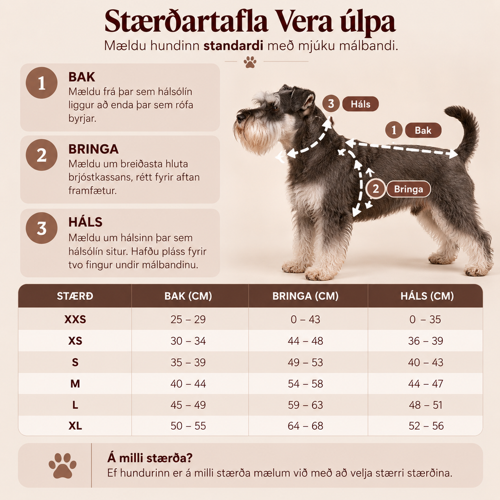 VERA ÚLPA MEÐ BEISLI | Sage
