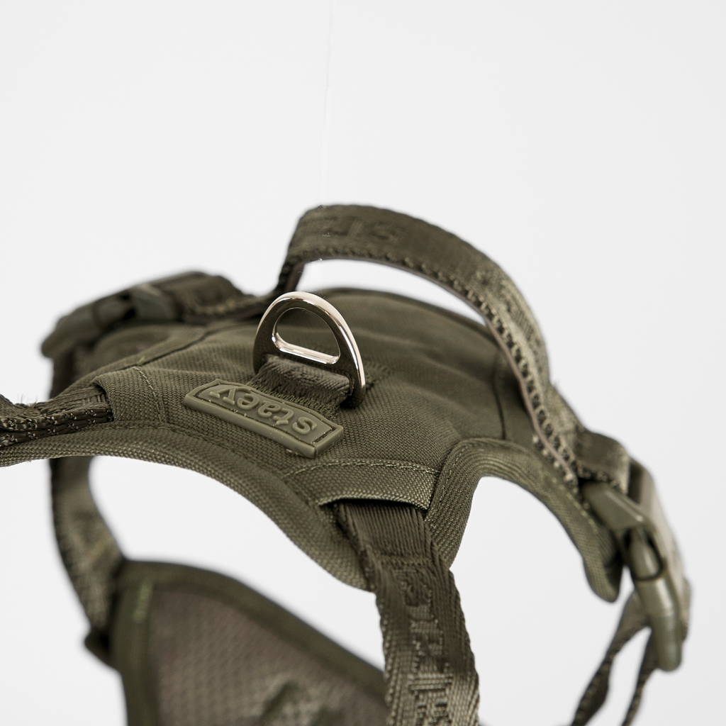 ELMA ACTIVE BEISLI | Moss Green