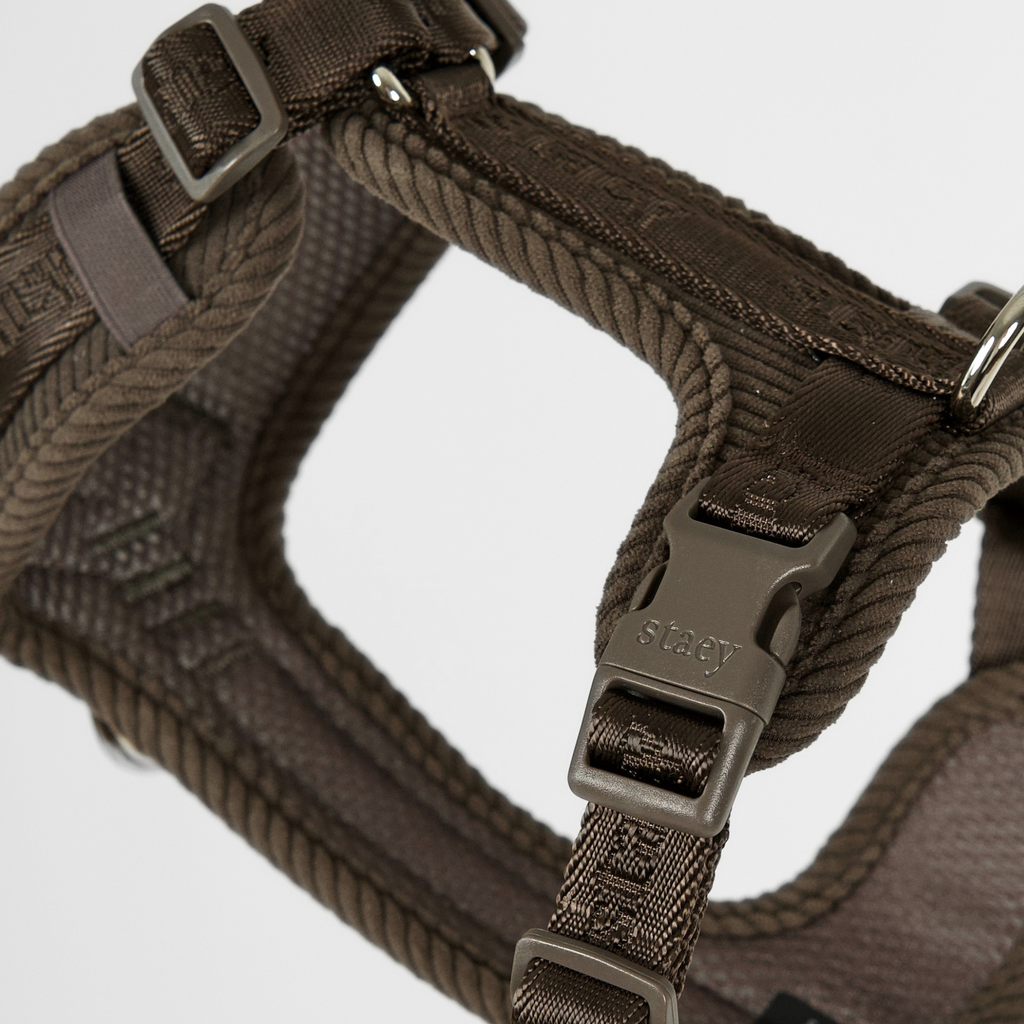 NUMA BEISLI | Dark Oak