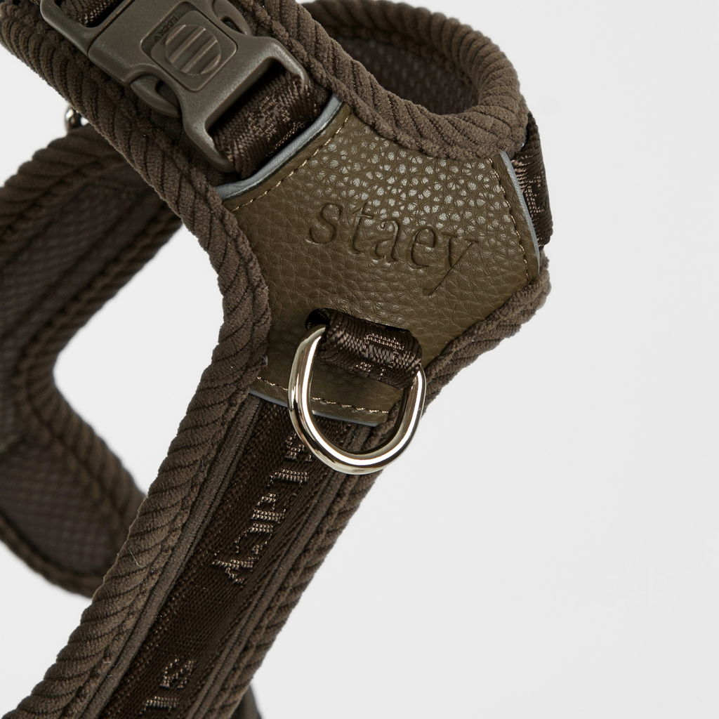 NUMA BEISLI | Dark Oak