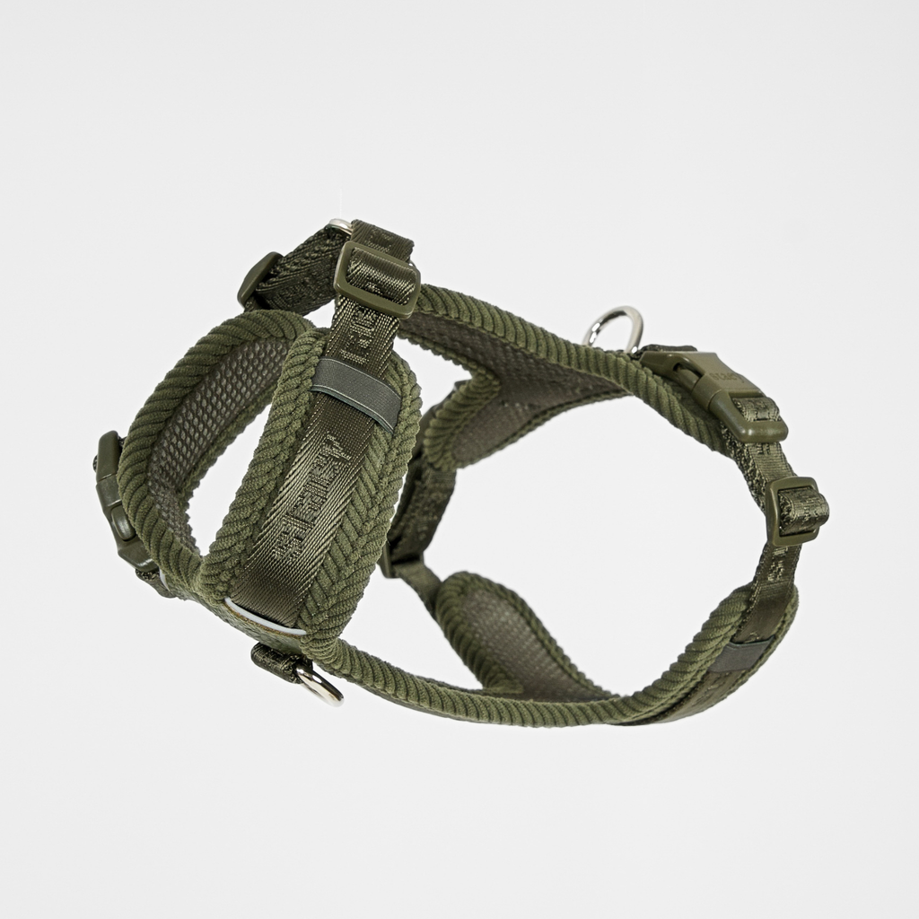 NUMA BEISLI | Moss Green