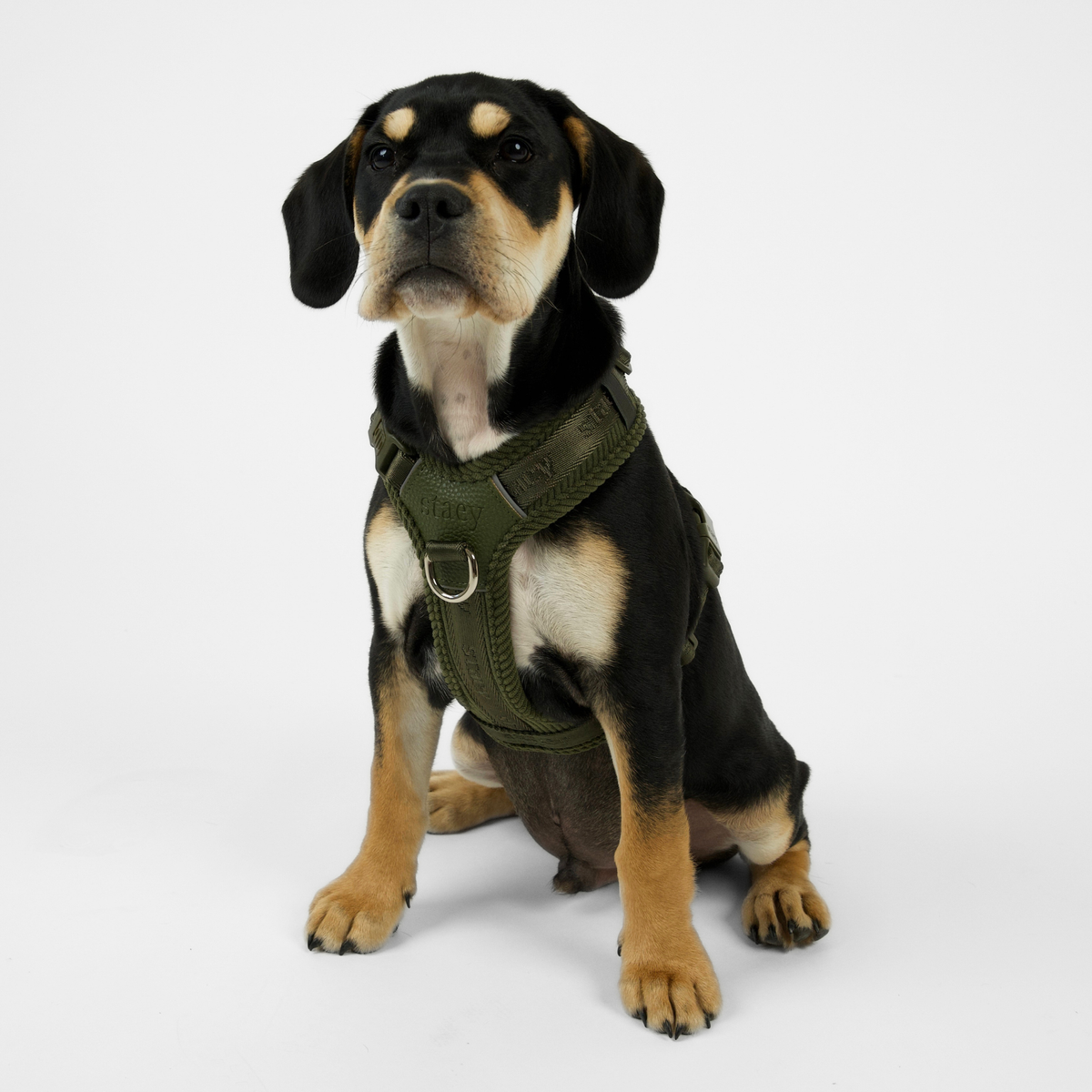 NUMA BEISLI | Moss Green