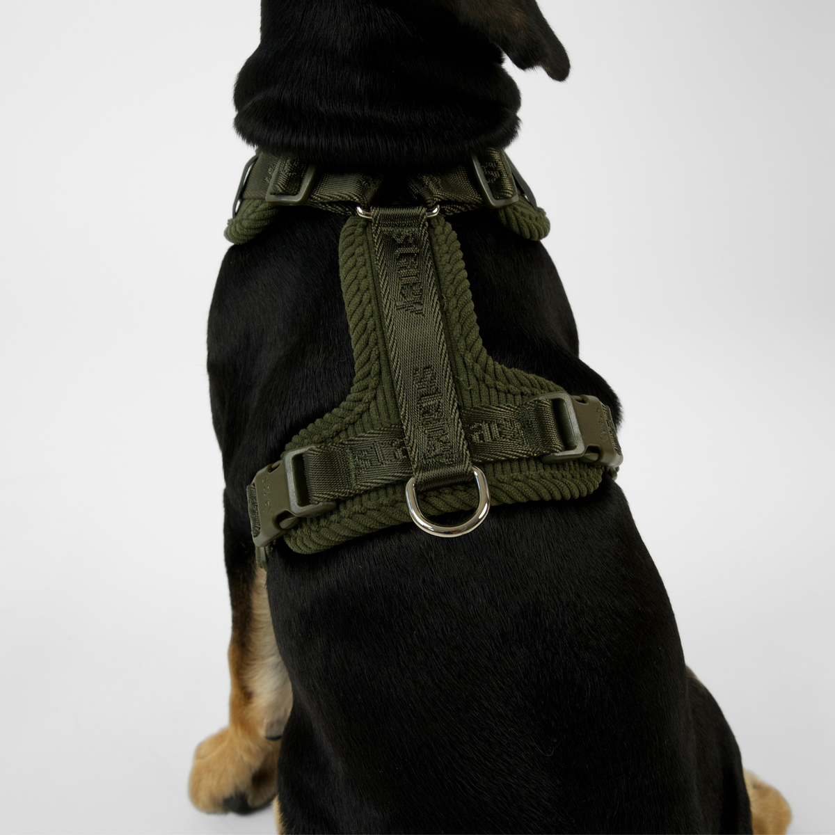 NUMA BEISLI | Moss Green